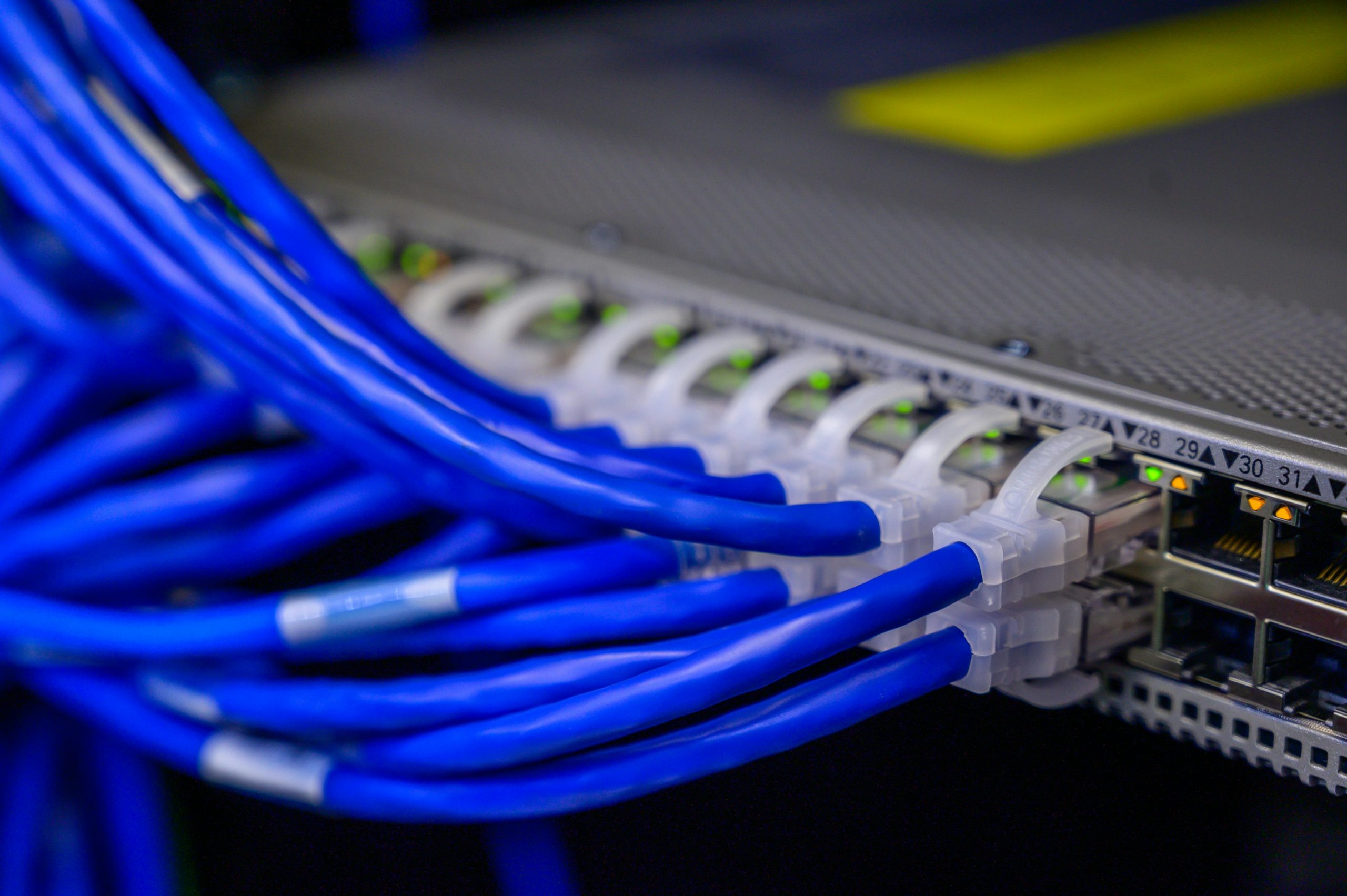 Detailed view of blue ethernet cables connected to a network switch in a data center showcasing modern business technology solutions.